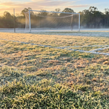 Winter Turf Stress Mitigation: The Plant Science Behind Why Turf Stops Recovering in the Cold