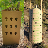 Plastic-Free Revegetation in Australia: A Contractor's Guide to Compliant Tree Guards and Stakes