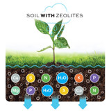 Unlocking the Power of Loaded Zeolite in Your Soil