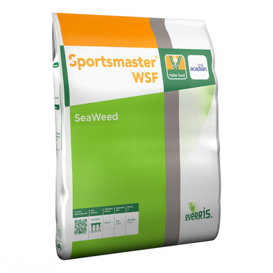 Sportsmaster WSF SeaWeed