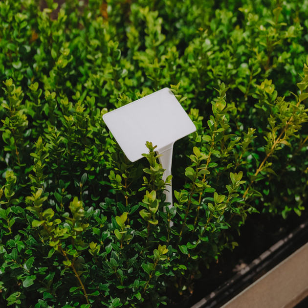 Bed Label PL4 28cm Bed Label PL4 28cm