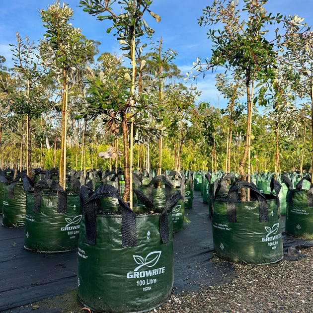 XHD Woven Plastic Plant Bag with 4 Handles, 100L XHD Woven Plastic Plant Bag with 4 Handles, 100L