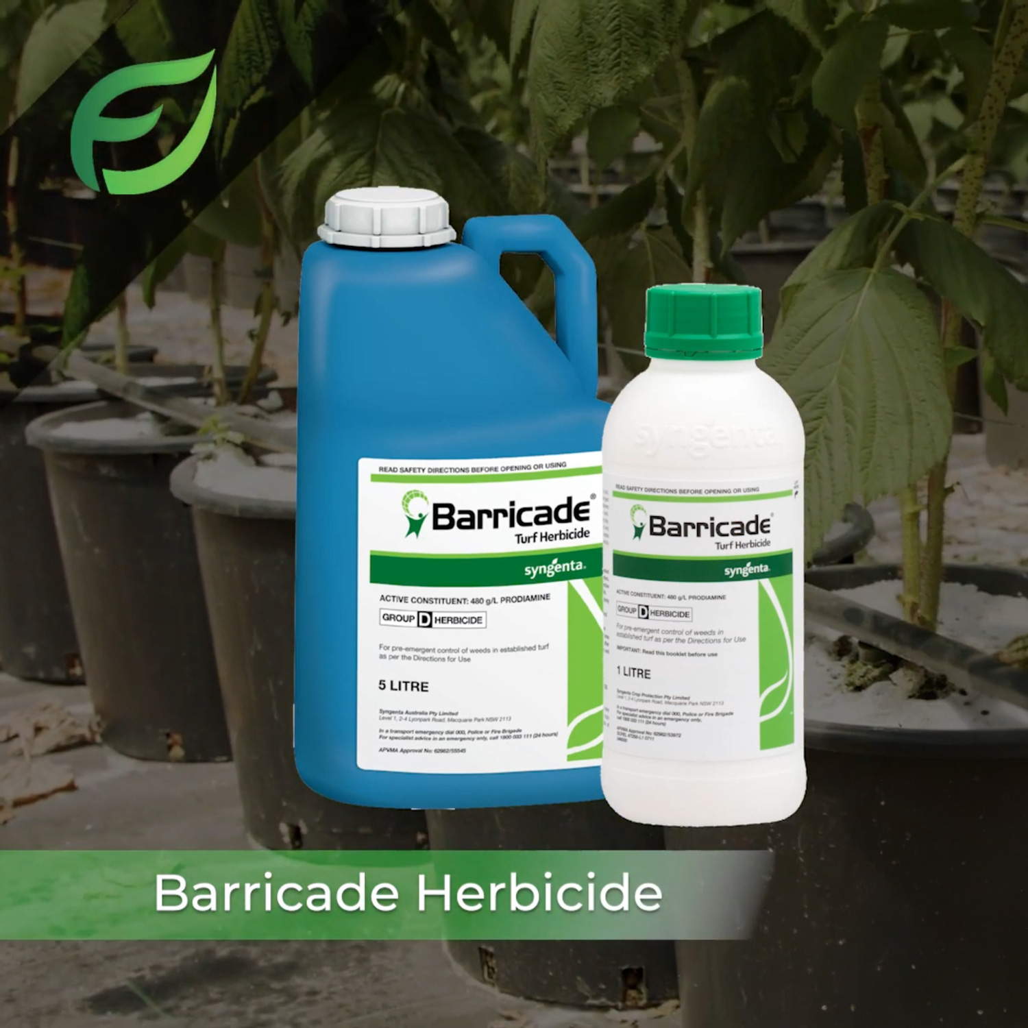 Barricade 2024 pre emergent