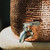 Our Sertodo Sana Vida Ayurvedic Copper Gravity Water Filter System includes a stainless steel spigot.