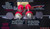 BDE-SYSTEMS - C5 Corvette, 1997-2004 Complete Lowering, Adjustable Suspension Kit: RED Bushings (14pc Set)