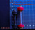 1997 to 2004 Corvette C5 OEM Bolts vs BDE-Systems Bolts - with bushings shown for illustrative purposes (this ad is only for the bolts)