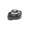 Chase Bays Radiator Cap Type A, 1.37bar / 20PSI
