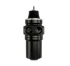 Turbosmart FPRF8 Black - Fuel Pressure Regulator + Filter