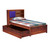 Aprodz Sheesham Wood Santiago Storage Single Bed For Bedroom Stylish  Teak Finish