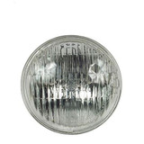 BULB, GE 4587