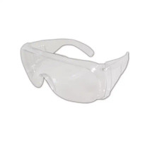 ECONOMY SAFETY GLASSES