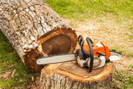 Xtreme is your new source for chainsaw parts and accessories