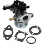 Carburetor For Briggs & Stratton 111P02, 114P02, 11P902 594287, 799248 520-061