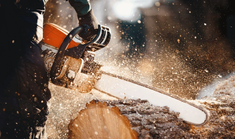 Choosing the Correct TriLink Replacement Chain for an Echo CS-590 Timberwolf