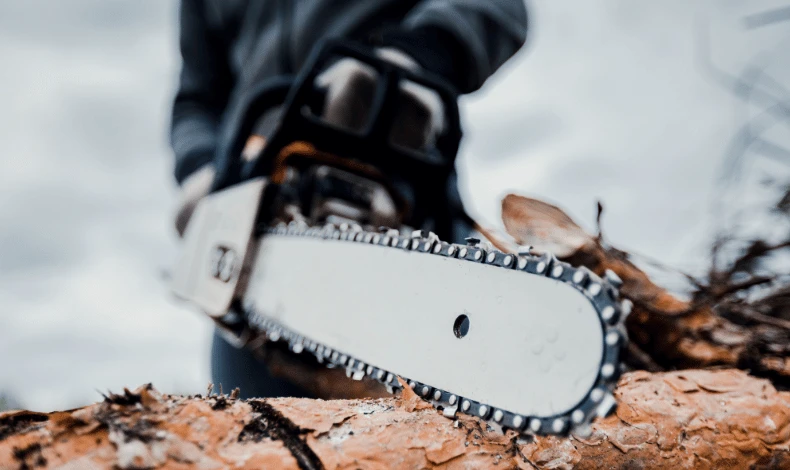 How to Measure Chainsaw Bar Length and Chain Pitch for Echo Saws