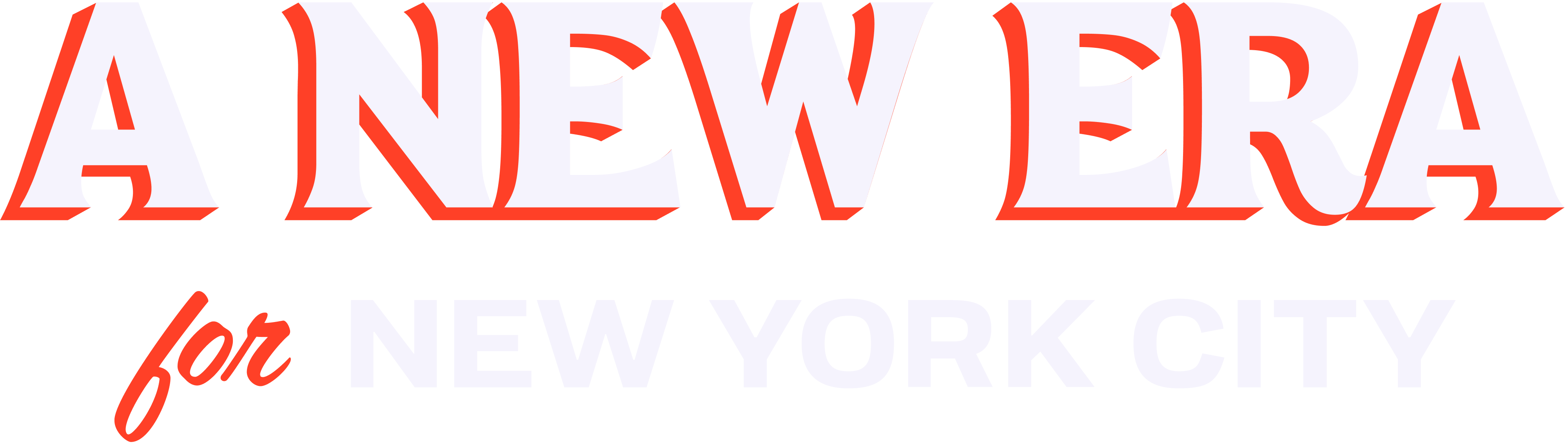 Zohran Mamdani Transition Webstore