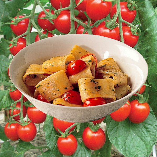 Calamarata Summer Pasta