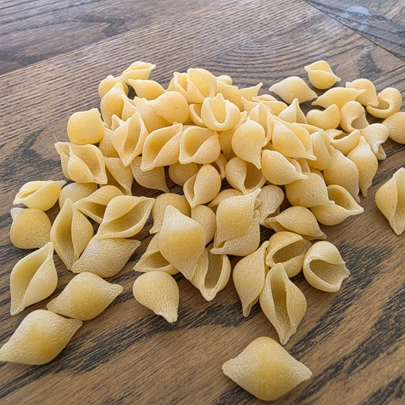 mini shells