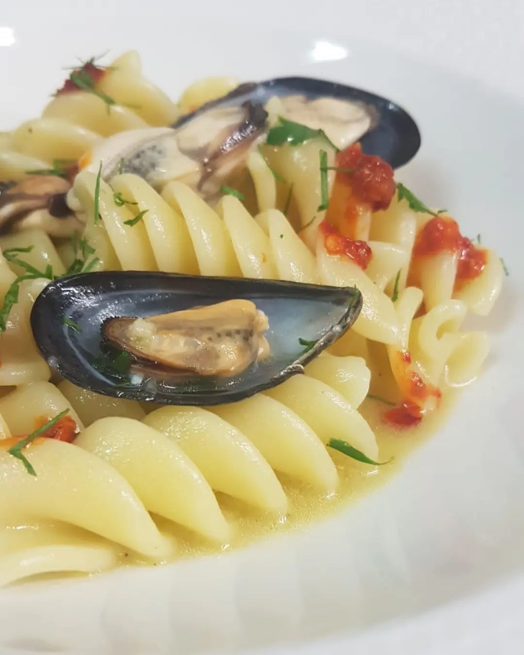 ELICONI with Mussels, bit of Nduja and fresh basil and parsley , touch ...