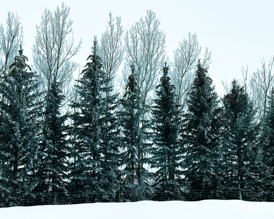 Mastering Winter Roads in Montana A Comprehensive Guide to Tire Chains