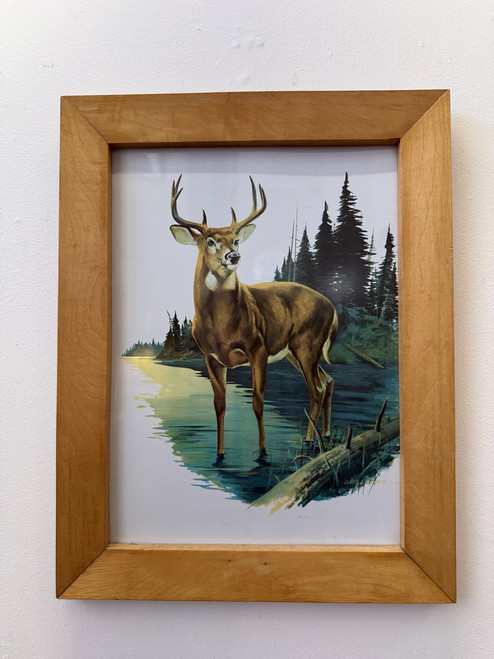 Bosch Brewing Company Framed Deer Photo