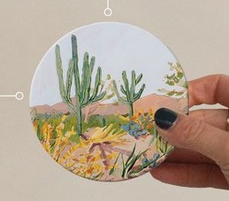 Seedlings Coaster Assorted-567812