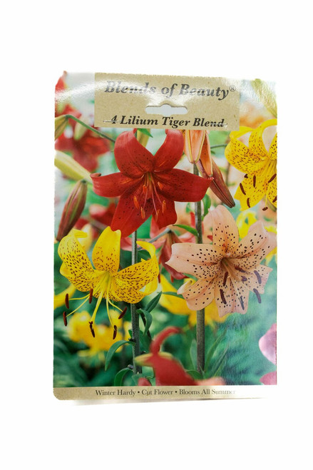 Blends of Beauty - Lilies