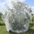 Fruit Tree Netting (16ft Wide, Sold Per Foot)-23959312