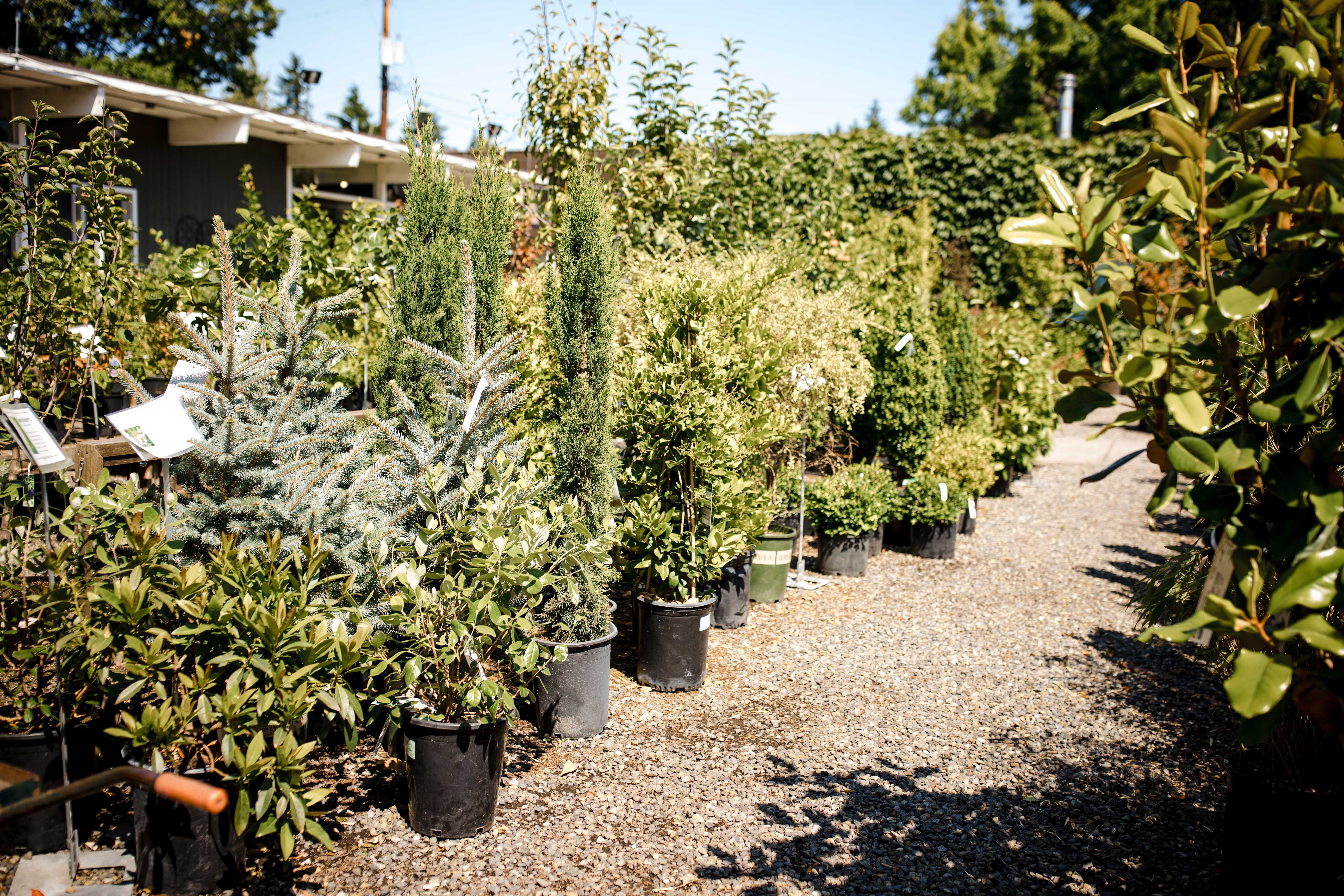 Jiffy Products - Magnolia Gift Shop & Garden Center