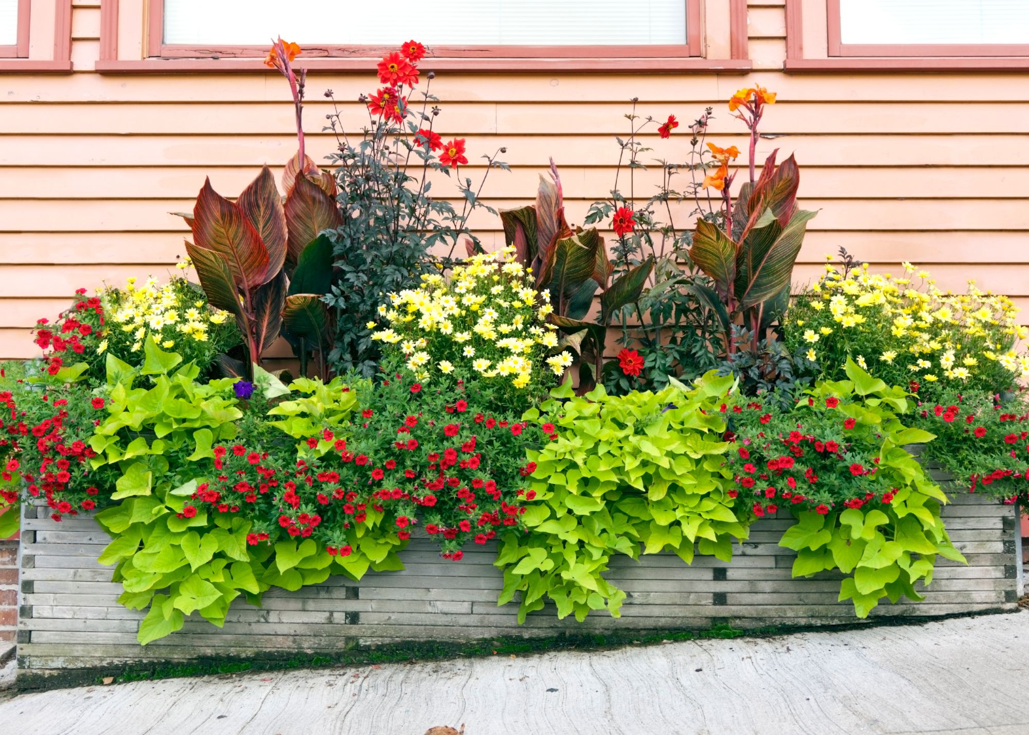 planter box, planting guide, how to plant a planter box, containers