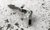 STILETTO Mk3 for Glock - 9/.40/.357 Gen 5