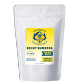 Scout Sumatra