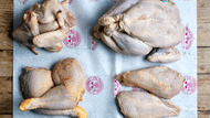 The Best Ways to Cook Chicken: Tips for Every Cut!