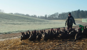 From Our Farm to Your Table: The Exceptional Quality of a Copas Turkey