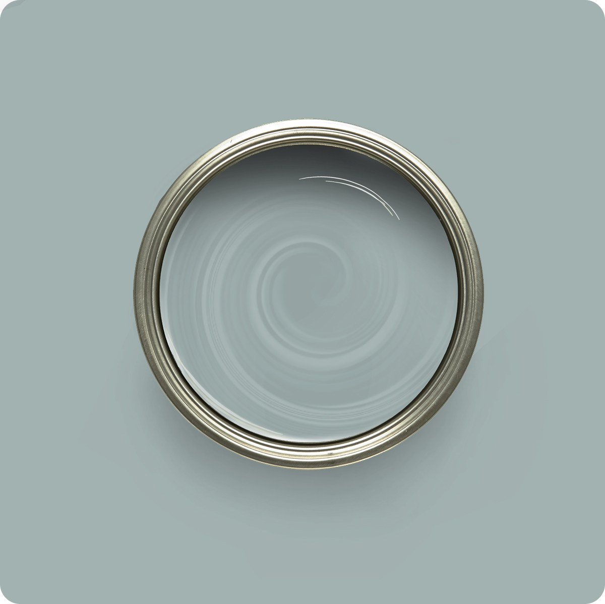 Dried Hydrangea Dried Hydrangea