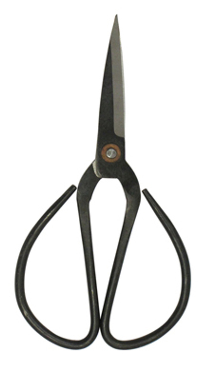 Professional Bonsai Scissors Trimming Scissors Stainless - Temu