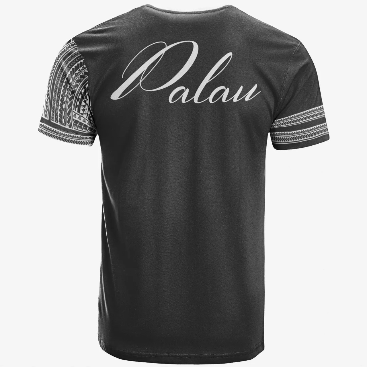 Palau T-Shirt - Grey Color Simple Style 2