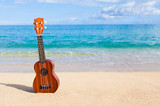 Hawaiian Ukulele: 6 Interesting Facts Not Everyone Knows