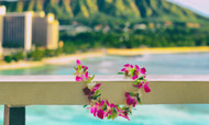 Do You Know About Aloha Spirit?