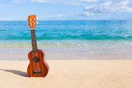 Hawaiian Ukulele: 6 Interesting Facts Not Everyone Knows