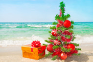 7 unique Hawaiian Christmas traditions you won't find anywhere else