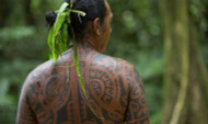 Discover The Meaning And Importance Of Polynesian Tattoos