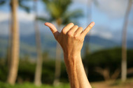 Hawaiian Shaka And Little-Known Things