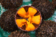 15 Traditional Fiji Foods to Try for an Authentic Experience