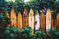 8 Best Places To Surf in Hawaii And The Best Time To Do It