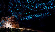 Top 7 Places To Admire Wonderful Glowworm Caves in New Zealand