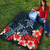 Hawaii Premium Quilt Hibiscus And Turtle Skillful