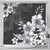 Hawaii Shower Curtain Hibiscus And Plumeria B&W