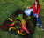 Niue Polynesian Premium Quilt - Turtle With Blooming Hibiscus Reggae 7