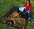 American Samoa Polynesian Premium Quilt - Polynesian Turtle Golden 8